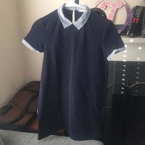 Zara Navy Blue Shift Dress with Collar